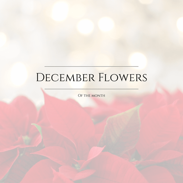 December Bouquet of The Month (Preorder) - Chelsey Walker Creative, LLC