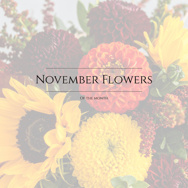 November Bouquet of The Month (Preorder) - Chelsey Walker Creative, LLC