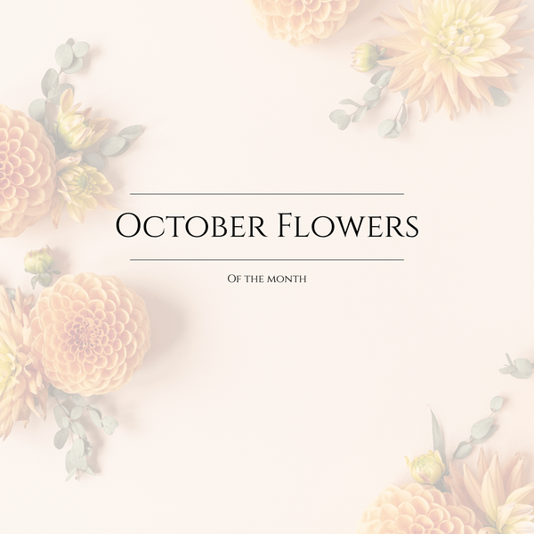 October Bouquet of The Month (Preorder) - Chelsey Walker Creative, LLC