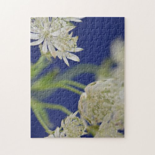 Puzzle | Spring No. 43 - Chelsey Walker Creative