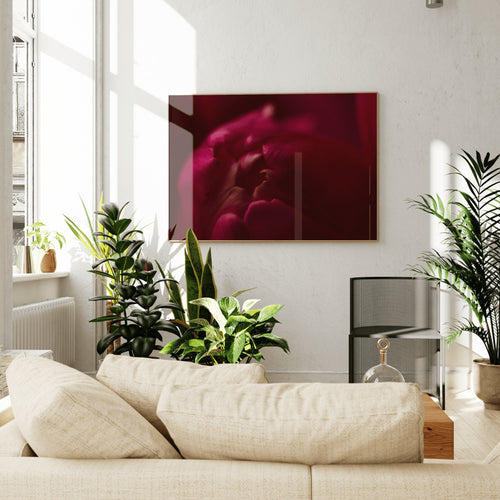 Tulip | No. 7 - Chelsey Walker Creative