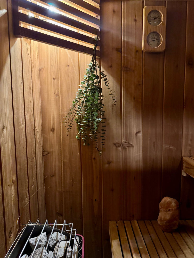 Benefits of Hanging Fresh Eucalyptus in Your Shower - Chelsey Walker Creative, LLC