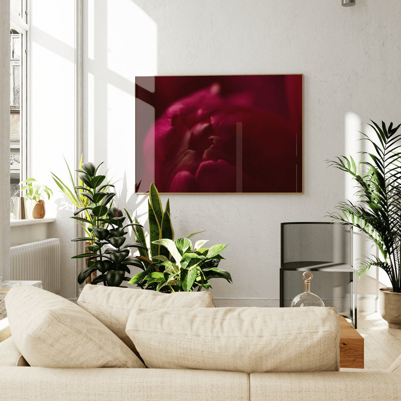 Effortless Tulip Care - Chelsey Walker Creative, LLC