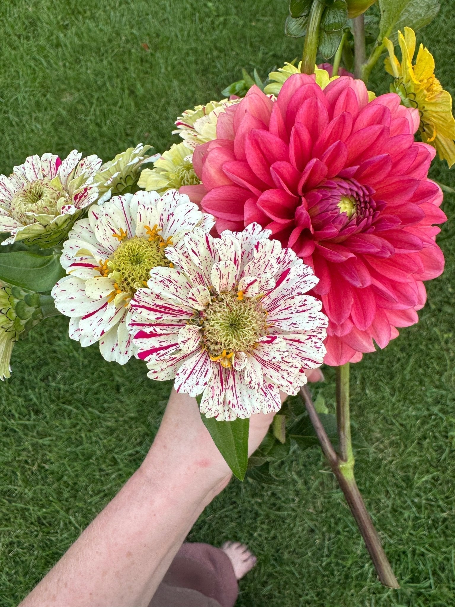 The Best Summer Flowers Growing in Madison, Wi Right Now (And How to Bring Them Indoors) - Chelsey Walker Creative, LLC