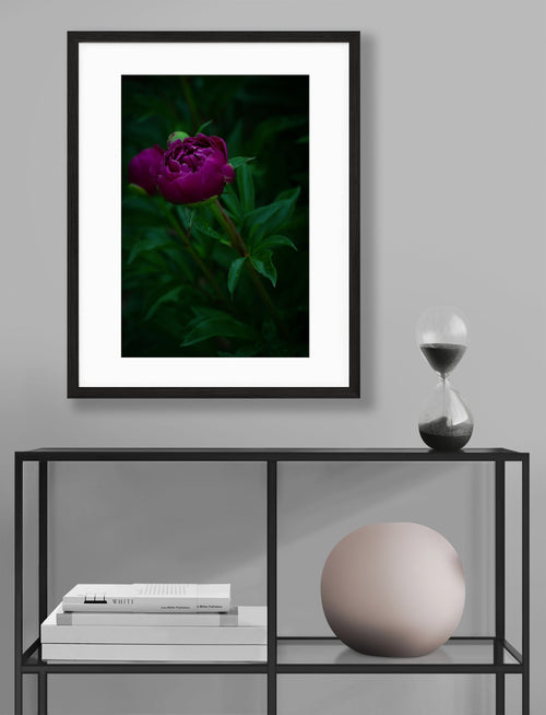 Peony & Hydrangea - Chelsey Walker Creative