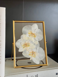 Framed Floral Preservation