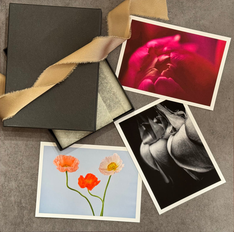 Floral art print subscription from Chelsey Walker Creative.