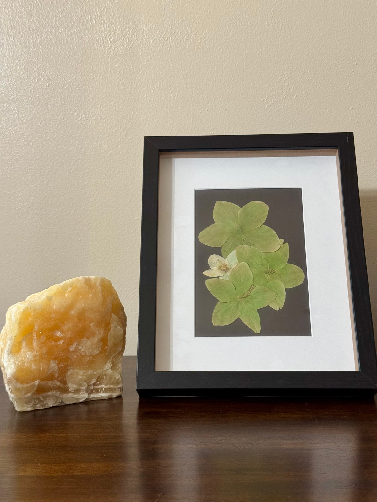 Hellebore Flower Wooden Frame