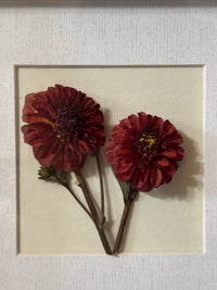 Dried Dahlia Shadow Box - Chelsey Walker Creative, LLC