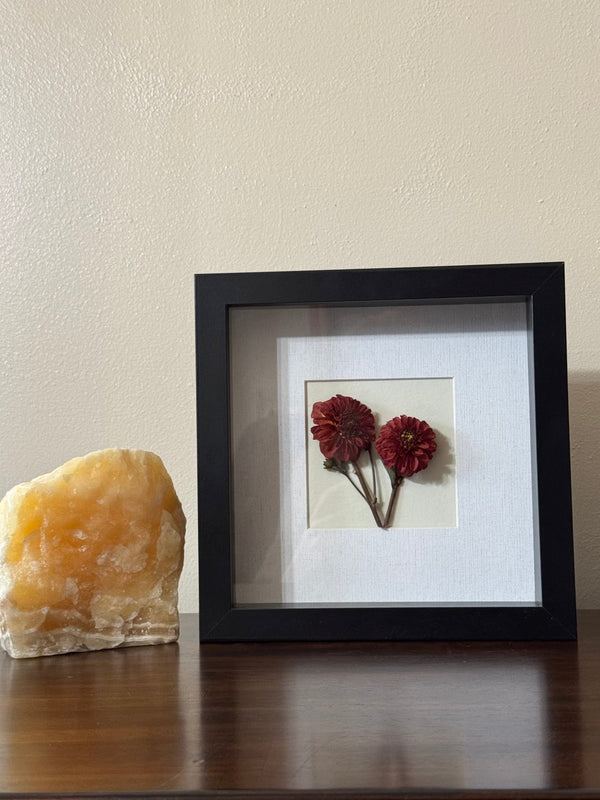 Dried Dahlia Shadow Box - Chelsey Walker Creative, LLC