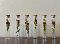 Dried Floral Tubes - Chelsey Walker Creative, LLC