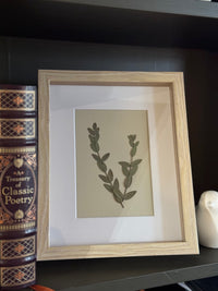 Eucalyptus Art, Wooden Frame - Chelsey Walker Creative, LLC