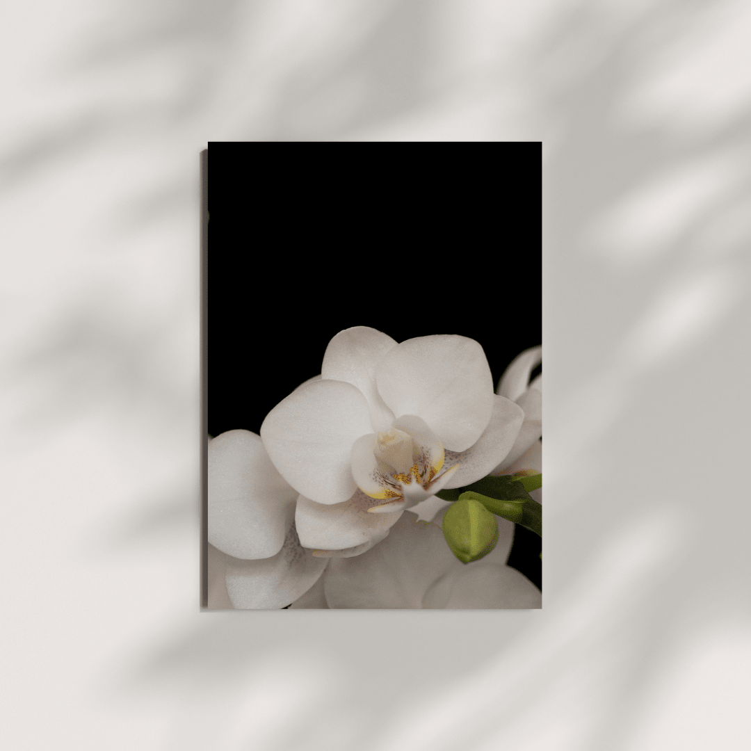 Folded Card Set | Orchid No. 8 - Chelsey Walker Creative, LLC