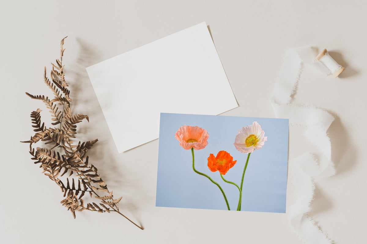 Folded Card Set | Poppy No. 8 - Chelsey Walker Creative, LLC
