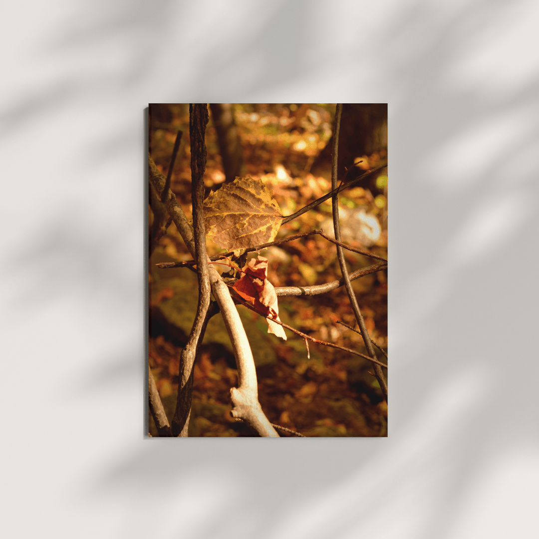 Folded Card Set | Tangled Leaves - Chelsey Walker Creative, LLC