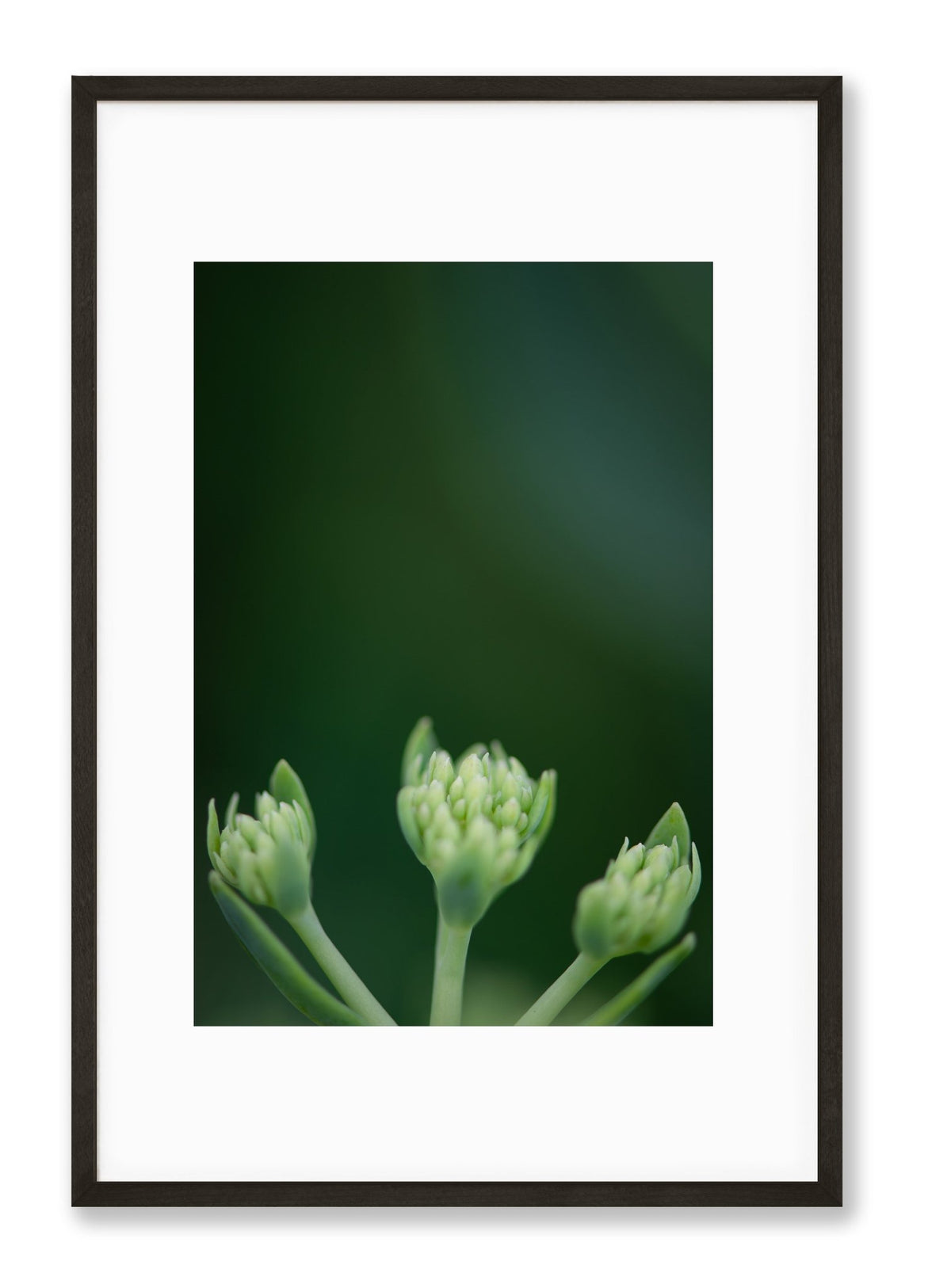 Green | No. 10 - Chelsey Walker Creative, LLC