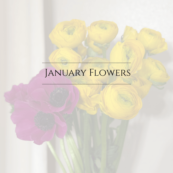 January Bouquet of The Month (Preorder) - Chelsey Walker Creative, LLC
