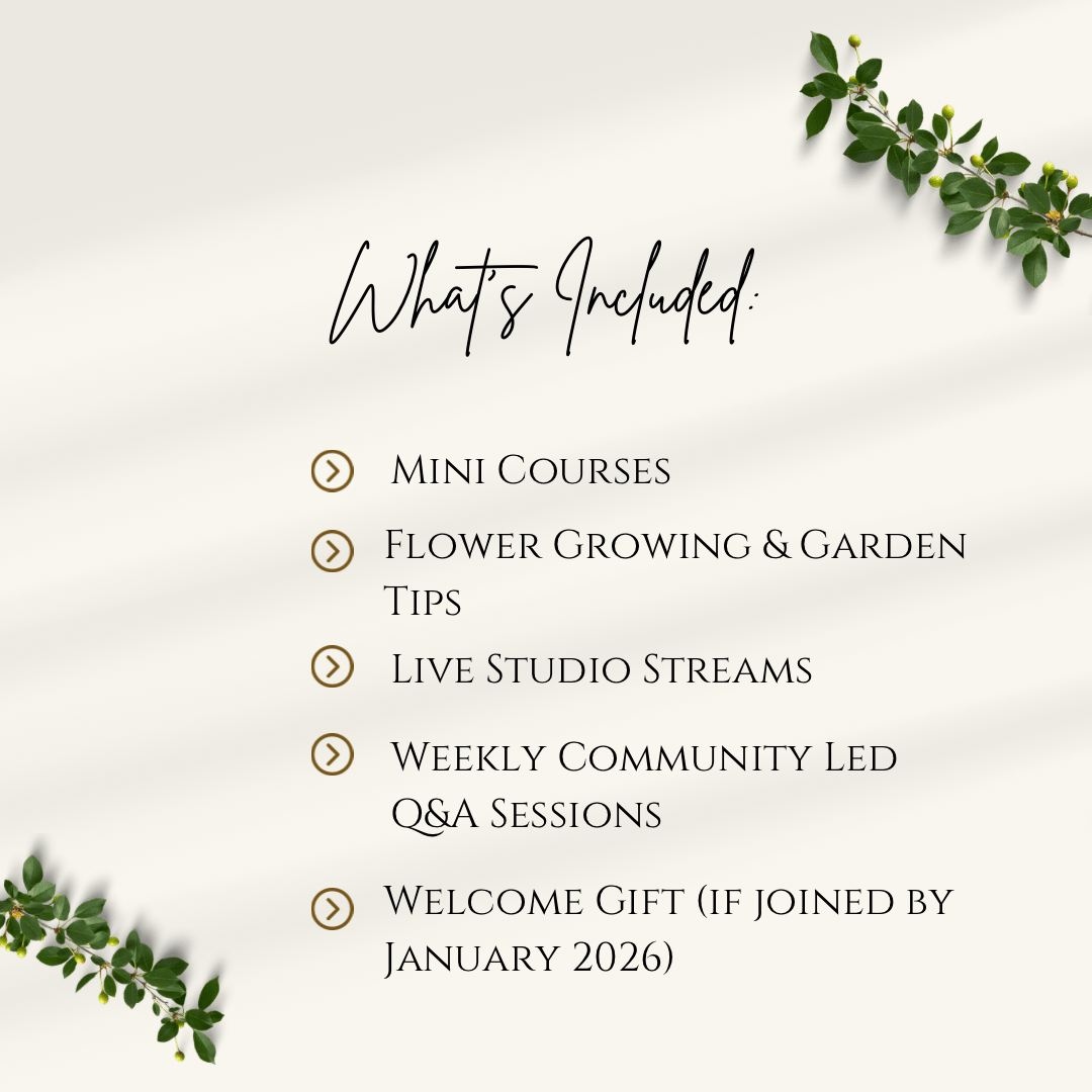 Petal & Stem Collective Memberships - Chelsey Walker Creative, LLC