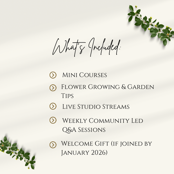 Petal & Stem Collective Memberships - Chelsey Walker Creative, LLC