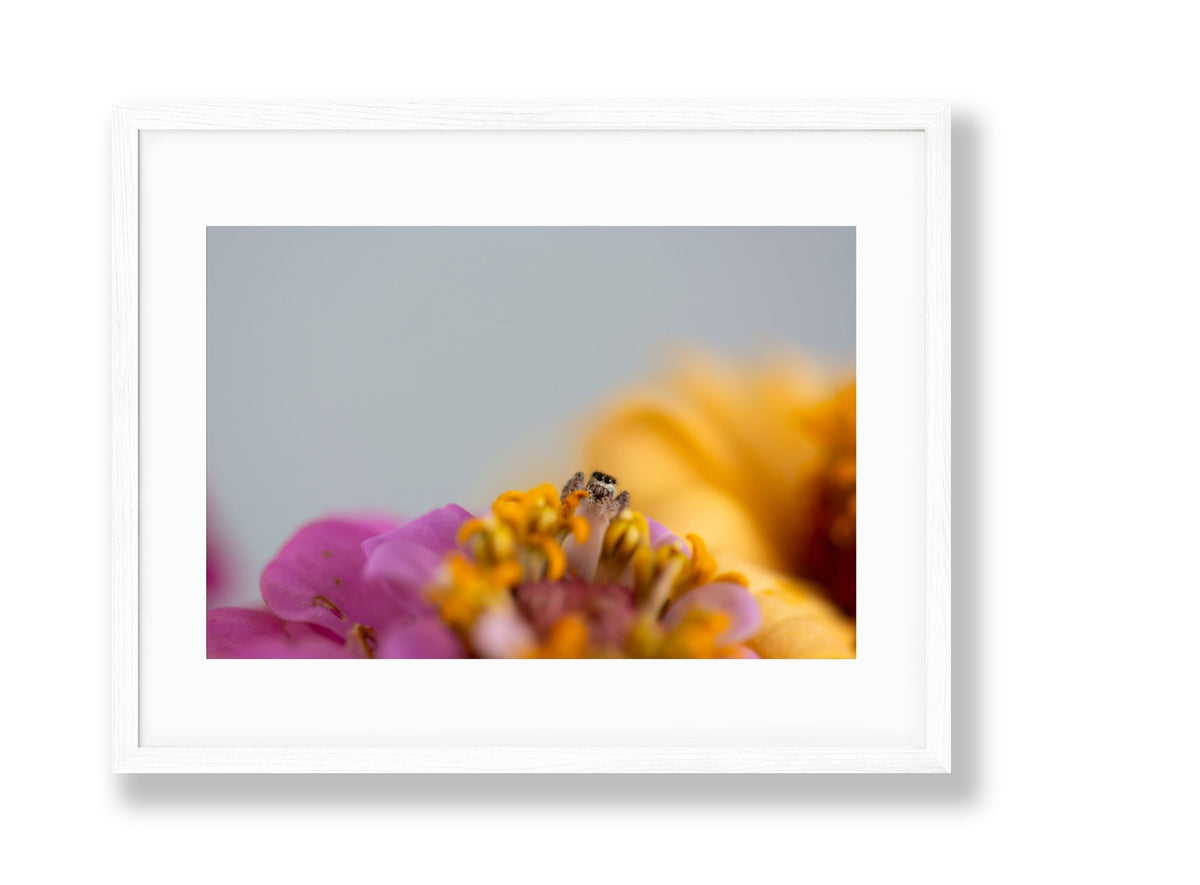 Petite Print | Garden Visitor No. 11 - Chelsey Walker Creative, LLC