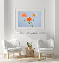 Petite Print | Poppy No. 8 - Chelsey Walker Creative, LLC