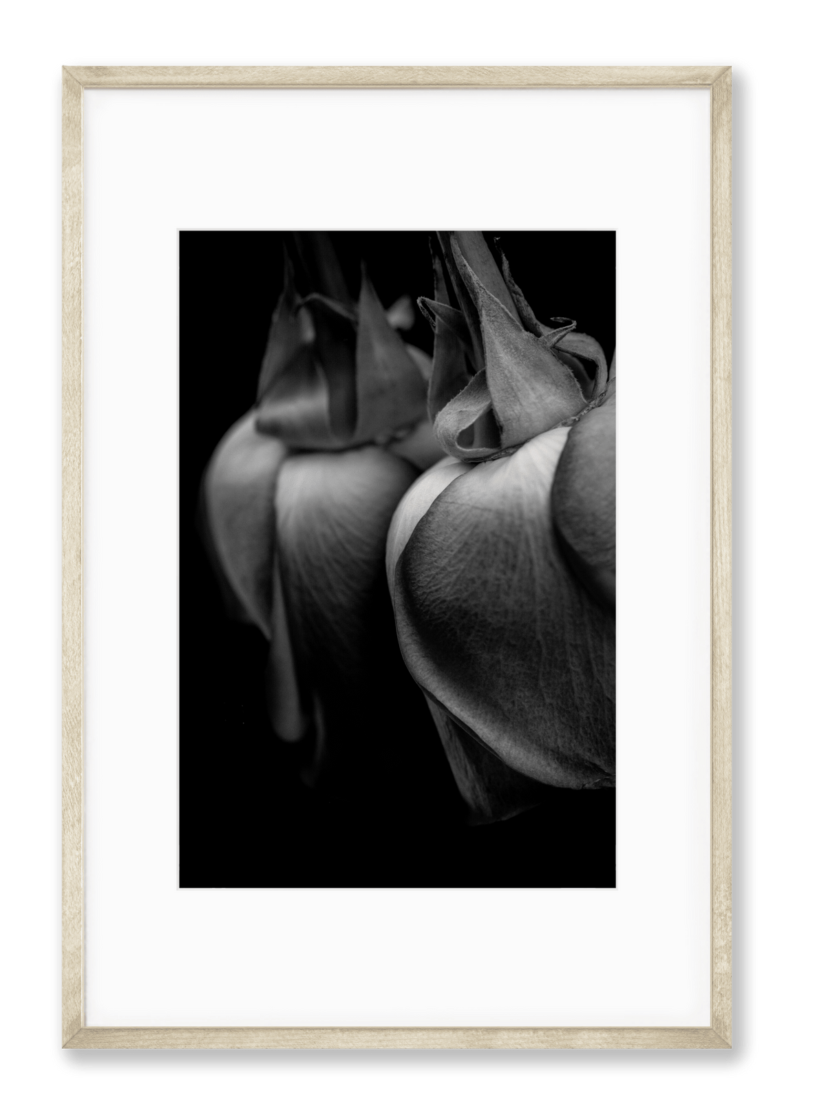 Petite Print | Reflections No. 8 - Chelsey Walker Creative, LLC