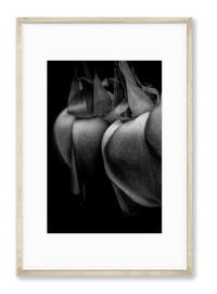 Petite Print | Reflections No. 8 - Chelsey Walker Creative, LLC