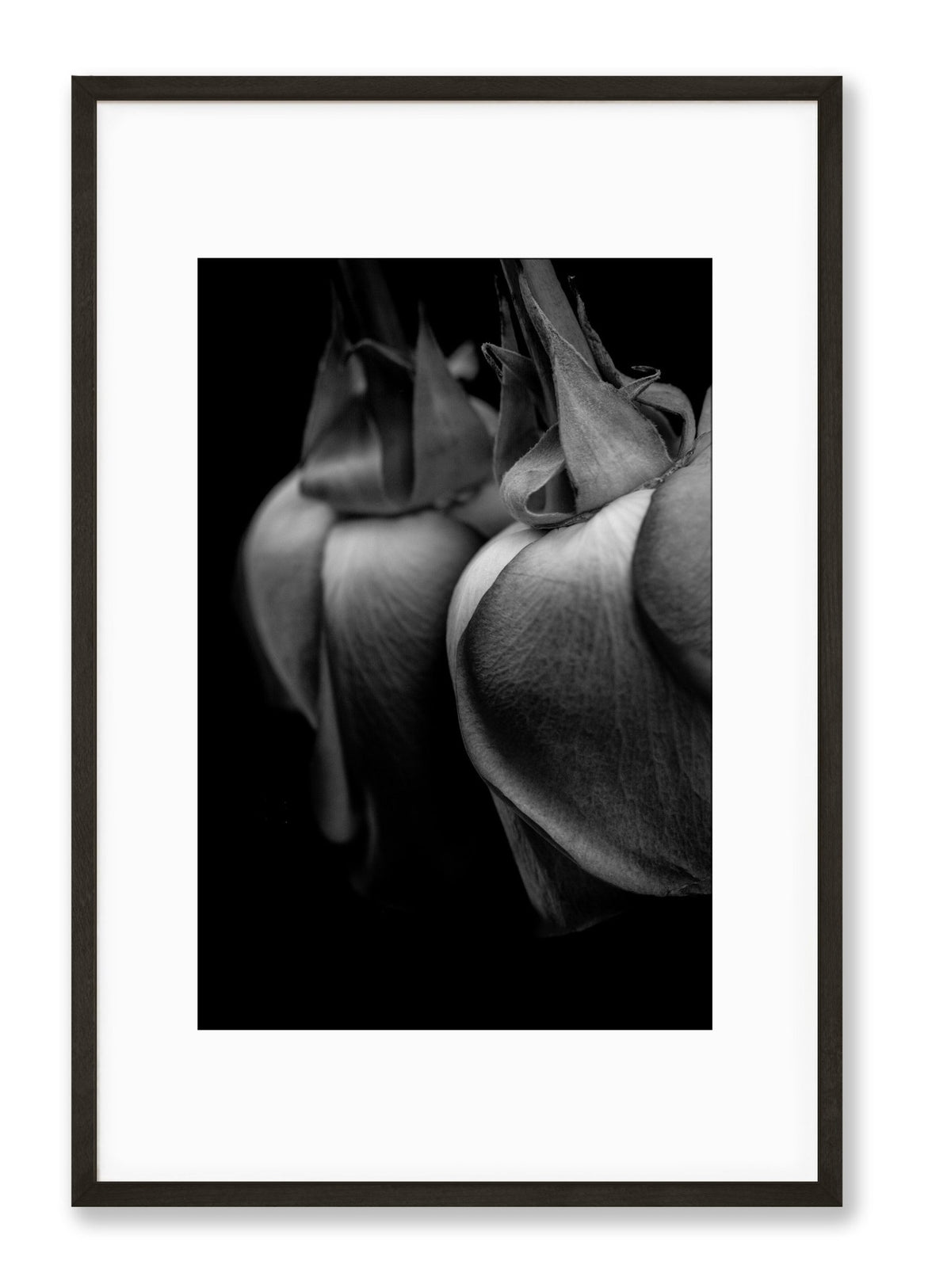 Petite Print | Reflections No. 8 - Chelsey Walker Creative, LLC