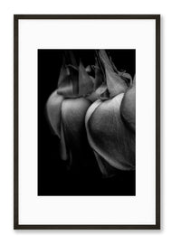 Petite Print | Reflections No. 8 - Chelsey Walker Creative, LLC