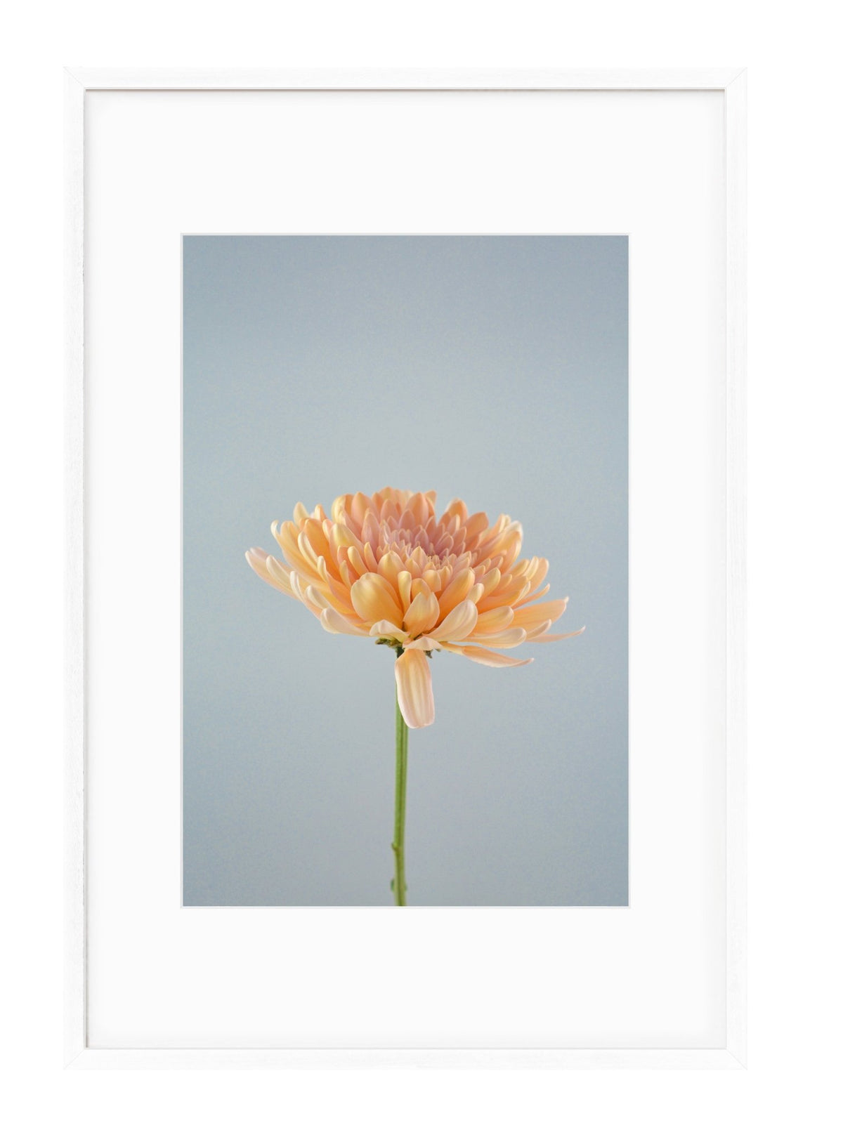 Petite Print | Spring No. 44 - Chelsey Walker Creative, LLC