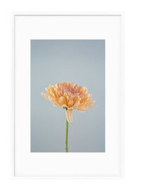 Petite Print | Spring No. 44 - Chelsey Walker Creative, LLC