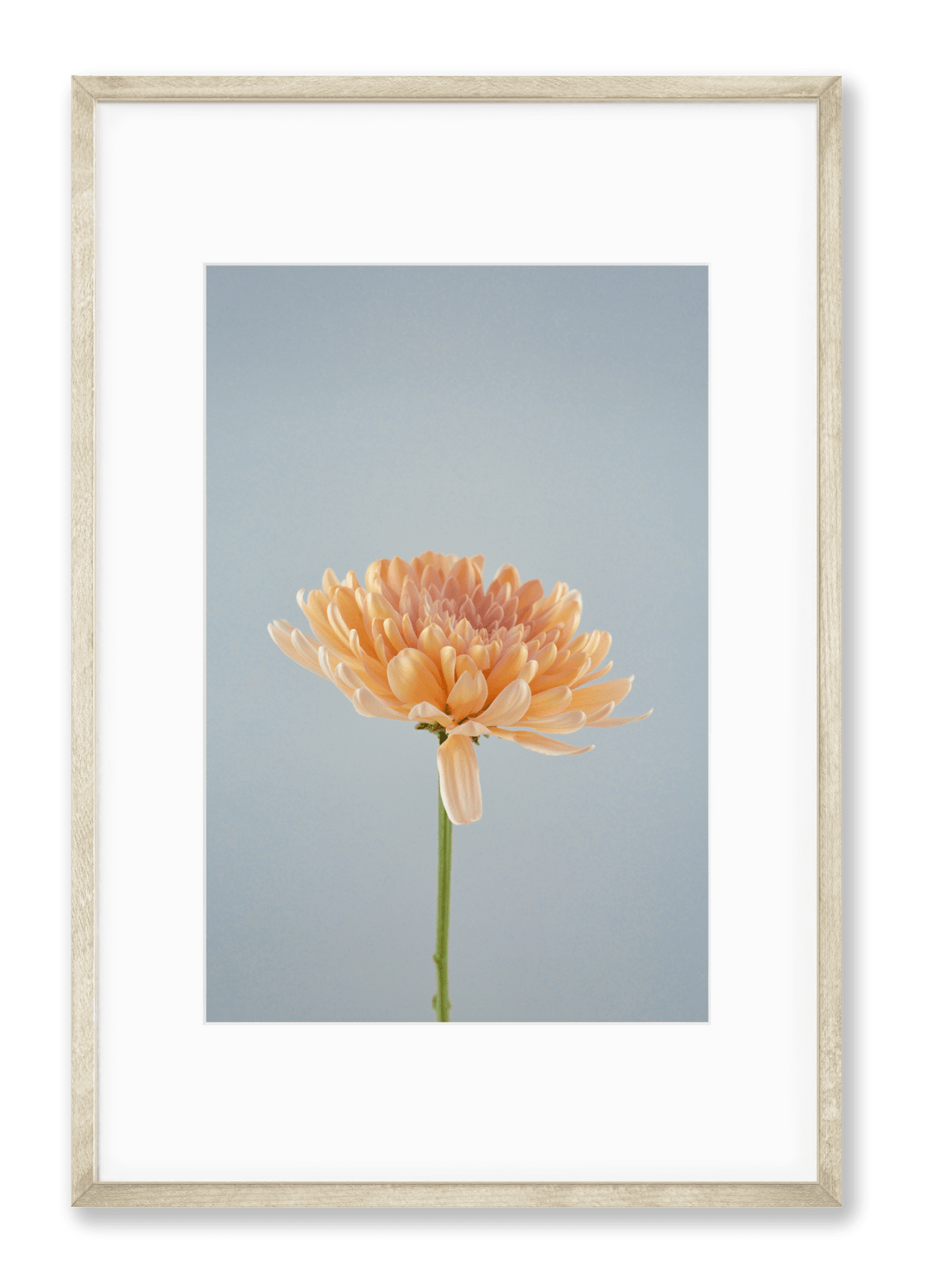 Petite Print | Spring No. 44 - Chelsey Walker Creative, LLC