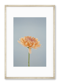 Petite Print | Spring No. 44 - Chelsey Walker Creative, LLC