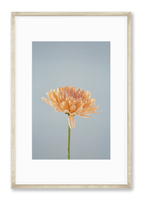 Petite Print | Spring No. 44 - Chelsey Walker Creative, LLC