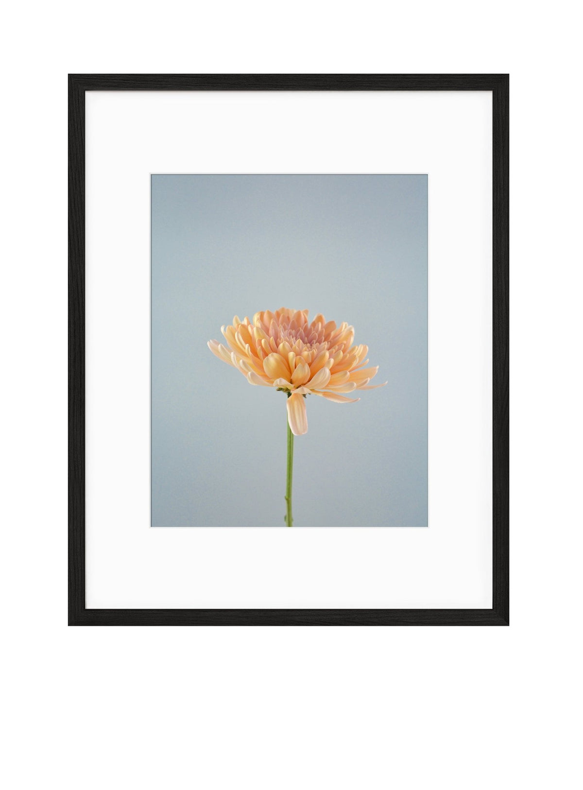 Petite Print | Spring No. 44 - Chelsey Walker Creative, LLC