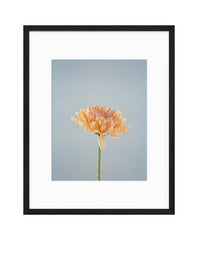 Petite Print | Spring No. 44 - Chelsey Walker Creative, LLC