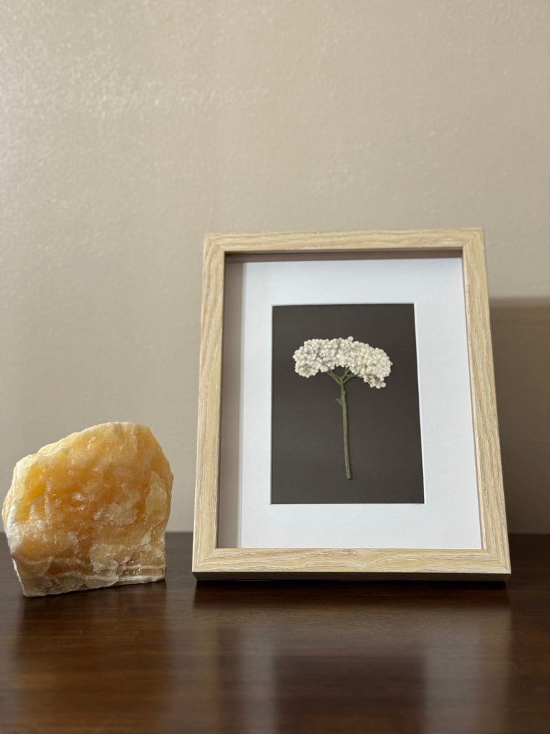 Rice Flower Art, Wooden Frame - Chelsey Walker Creative, LLC