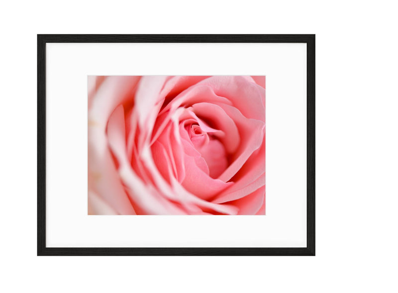 Spring | No. 11 - Chelsey Walker Creative