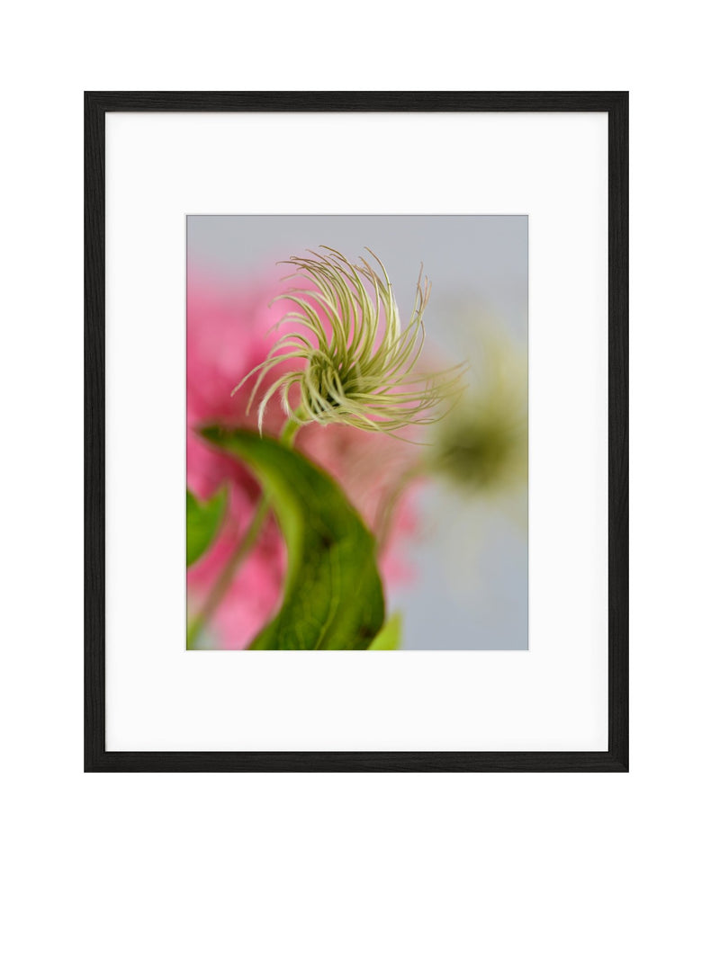 Spring | No. 14 - Chelsey Walker Creative
