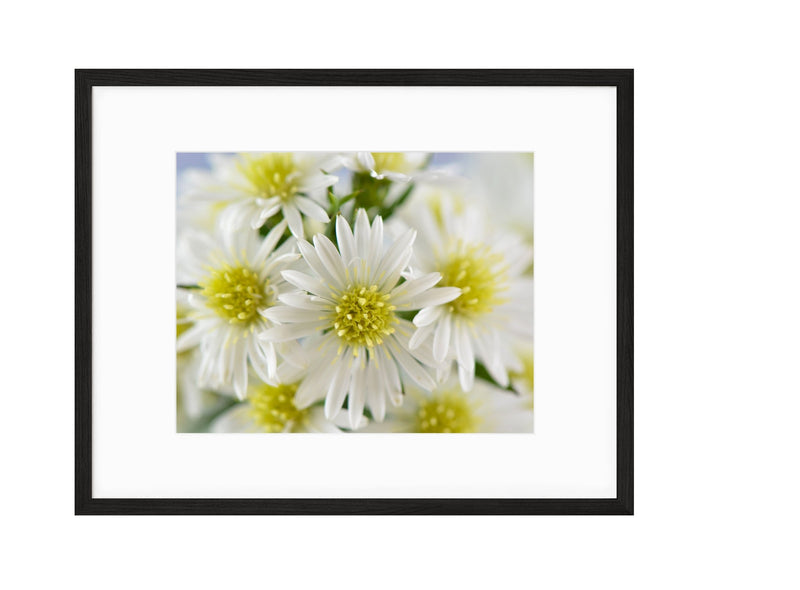 Spring | No. 16 - Chelsey Walker Creative