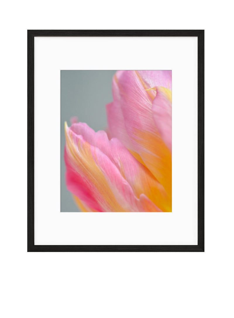 Spring | No. 18 - Chelsey Walker Creative