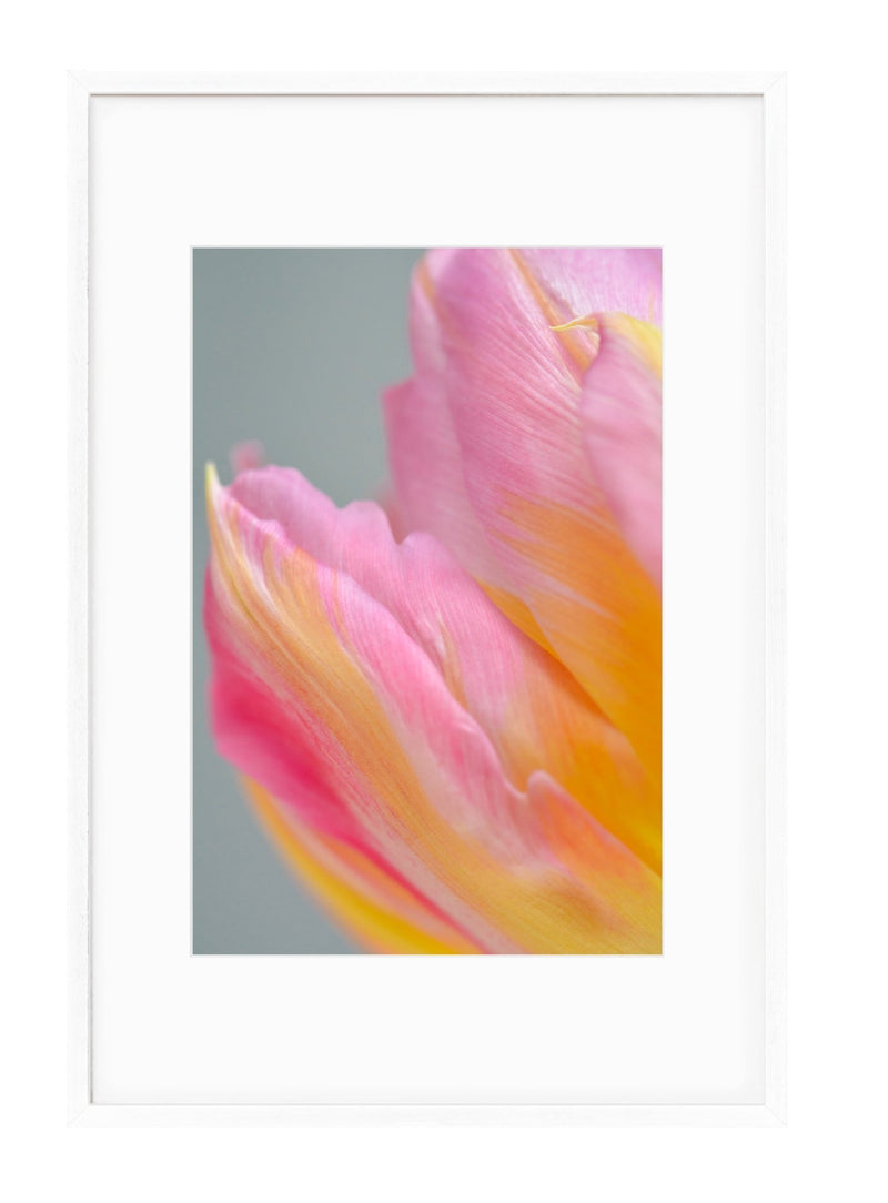 Spring | No. 18 - Chelsey Walker Creative