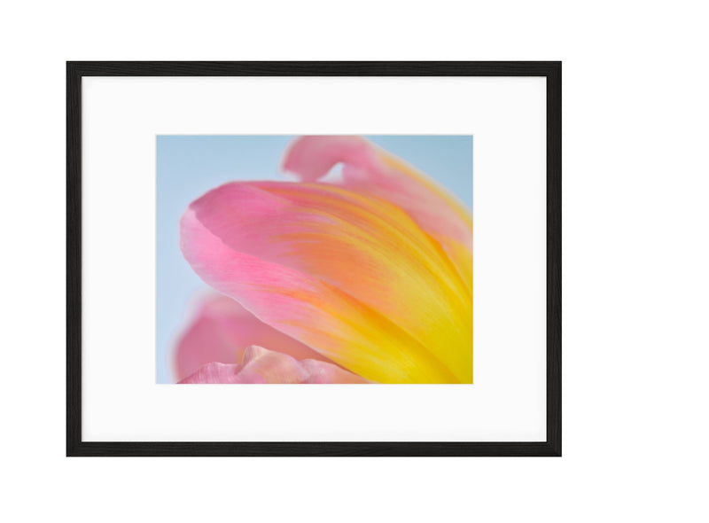 Spring | No. 20 - Chelsey Walker Creative