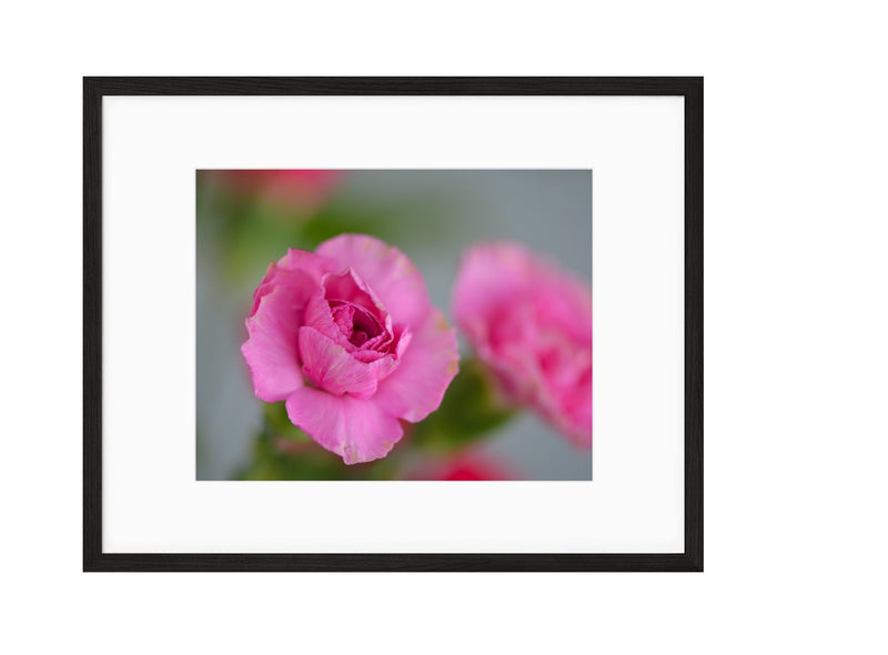Spring | No. 4 - Chelsey Walker Creative