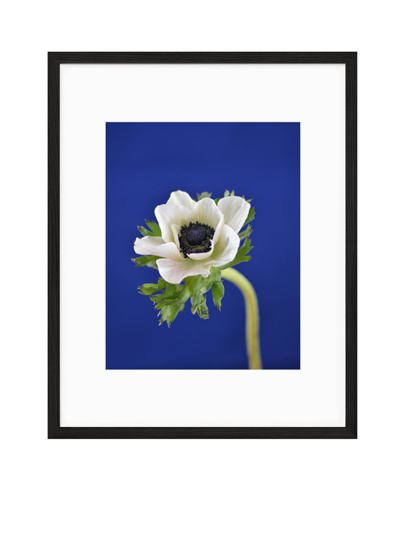Spring | No. 7 - Chelsey Walker Creative