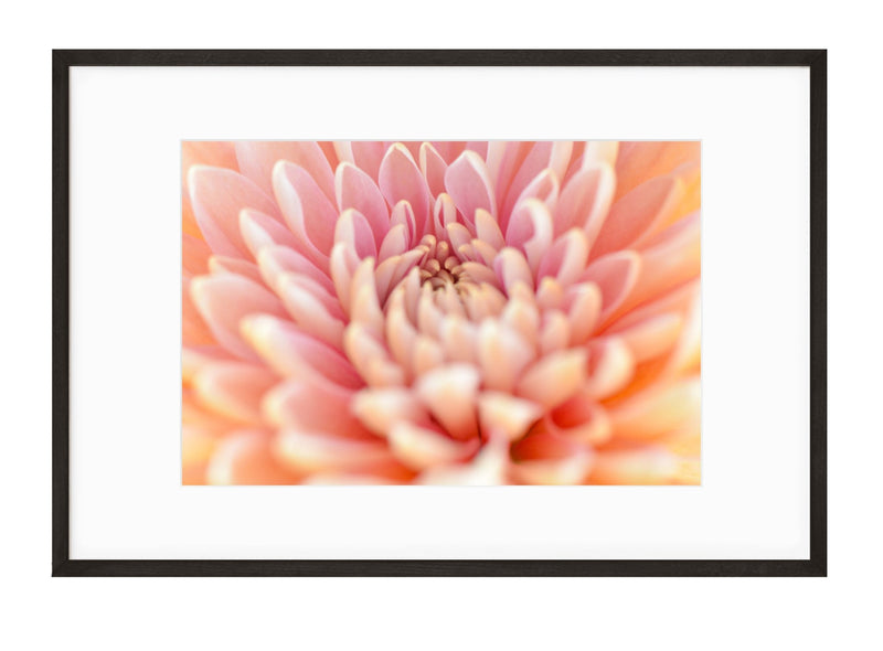 Spring | No. 8 - Chelsey Walker Creative