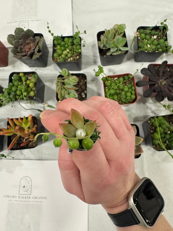 Succulent Jewelry Workshop Pop Up (Deposit Only) - Chelsey Walker Creative, LLC