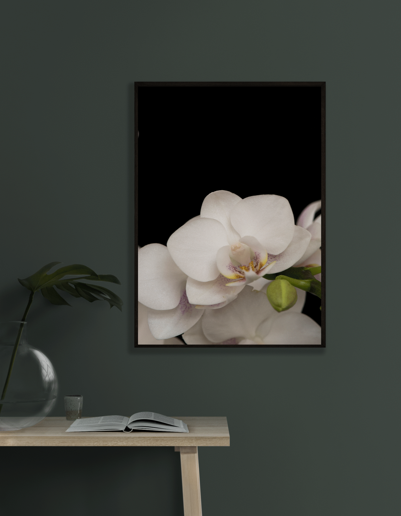 Orchid | No. 8