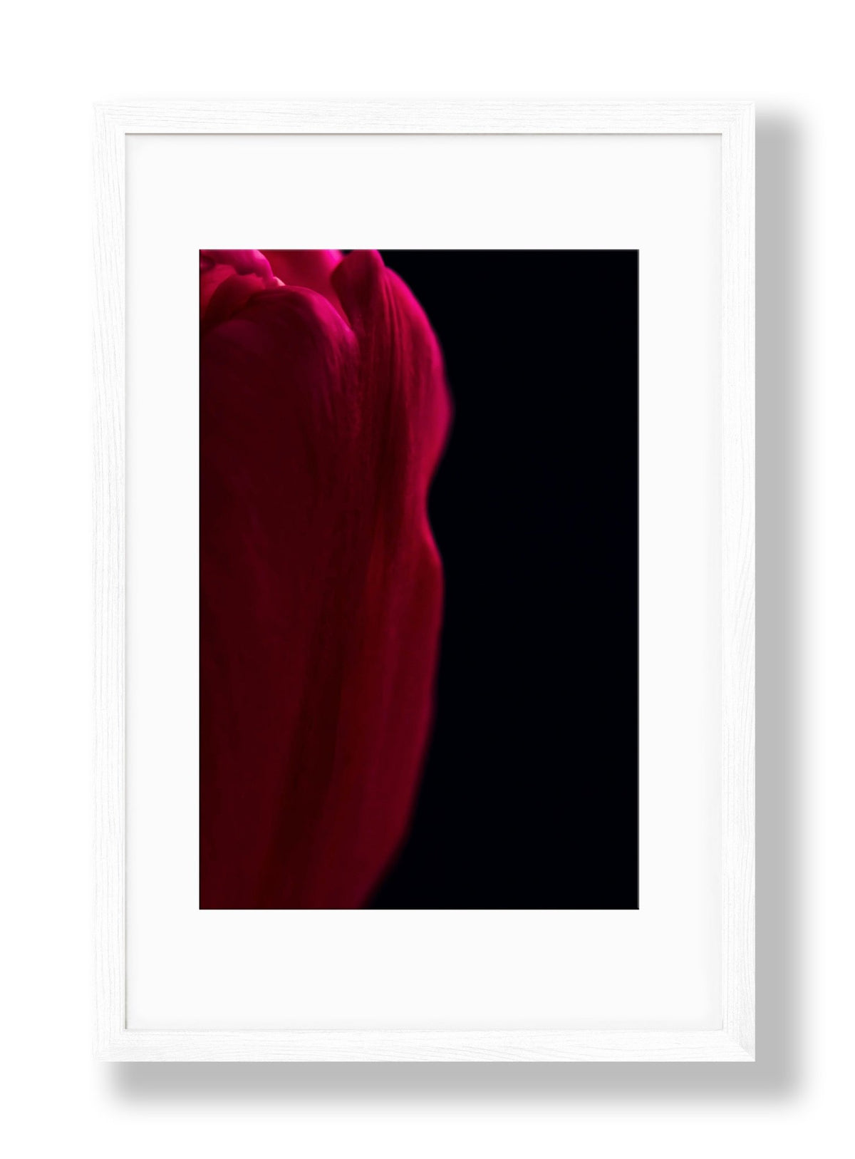 Tulip | No. 12 - Chelsey Walker Creative