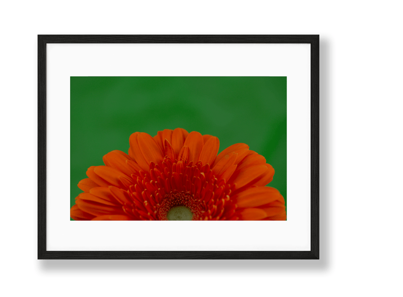 Vibrant | No. 12 - Chelsey Walker Creative